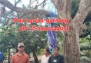 Pria Lansia Ditemukan Meninggal Dunia di Desa Suli Indah Kecamatan Balinggi Parigi Moutong
