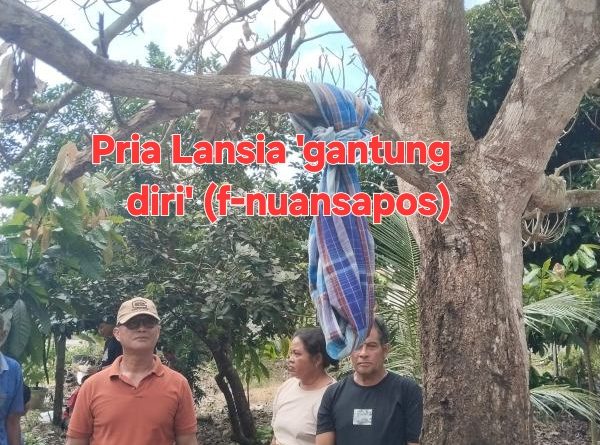 Pria Lansia Ditemukan Meninggal Dunia di Desa Suli Indah Kecamatan Balinggi Parigi Moutong