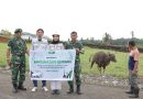 Jelang Idul Adha 1447 H, IMIP Salurkan Puluhan Hewan Kurban
