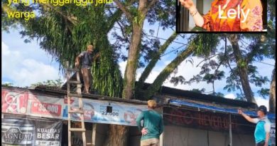 Warga dan Perangkat Desa Tolai Gotong Royong Bersihkan Pohon di Tepi Jalan Demi Keselamatan