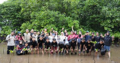 Hari Mangrove Sedunia, IMIP Dukung Penanaman 1 Juta Mangrove di 37 Provinsi