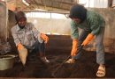 IMIP Membuat Terobosan Bersama Kelompok Tani Binaanya Sampah Organik Di olah Jadi Nilai Mahal.