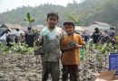 PT IMIP Padukan Pelestarian Mangrove dan Kemandirian Ekonomi Warga